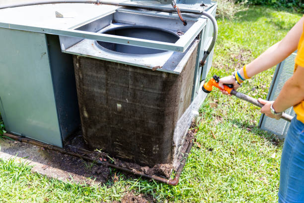 Best Affordable Duct Cleaning Services  in Walnut Ridge, AR