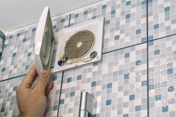 Best Professional Duct Cleaning Services  in Walnut Ridge, AR