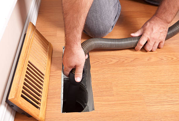 Best Dryer Vent Cleaning Services  in Walnut Ridge, AR
