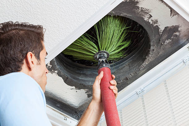 Best Best Air Duct Cleaning Company  in Walnut Ridge, AR