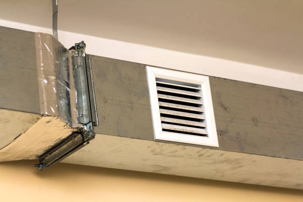 Best Ductwork Cleaning Services  in Walnut Ridge, AR